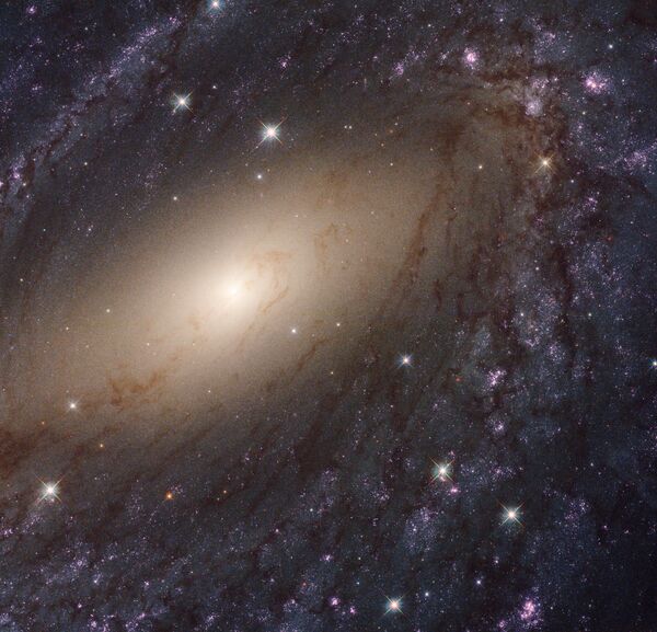 Галактика NGC 6744 в созвездии Павлин Галактика NGC 6744 в созвездии Павлин