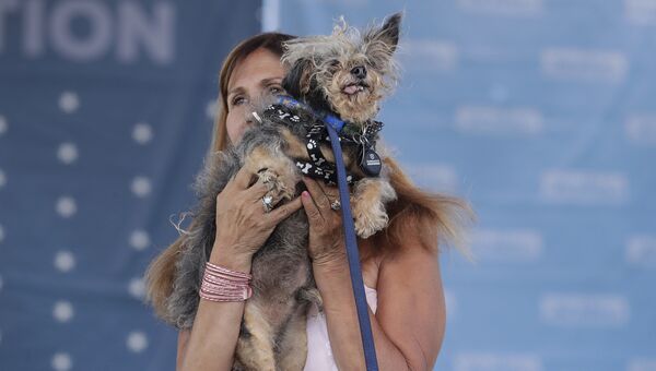 Собака на конкурсе Самая уродливая собака в мире(World's Ugliest Dog) Собака на конкурсе Самая уродливая собака в мире(World's Ugliest Dog)