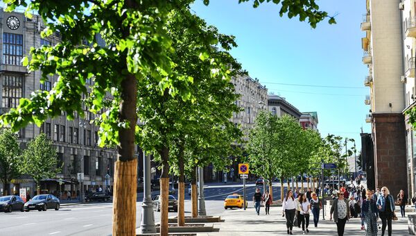 Липы на Тверской улице в Москве Липы на Тверской улице в Москве
