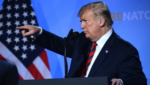 Президент США Дональд Трамп на пресс-конференции. Архивное фото Президент США Дональд Трамп на пресс-конференции. Архивное фото