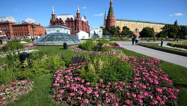 Цветник на Манежной площадь в Москве Цветник на Манежной площадь в Москве