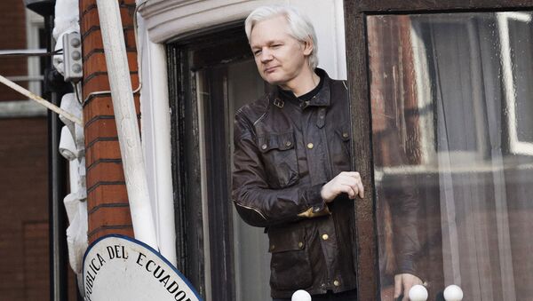 Сооснователь WikiLeaks Джулиан Ассанж на балконе здания посольства Эквадора в Лондоне Сооснователь WikiLeaks Джулиан Ассанж на балконе здания посольства Эквадора в Лондоне