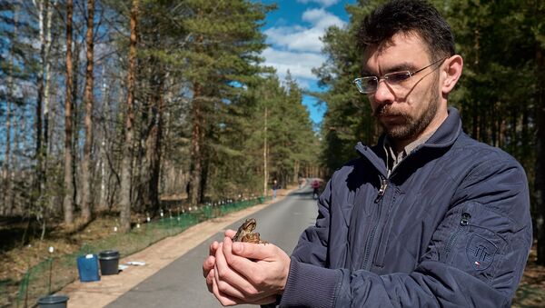 Некоторые волонтеры так сильно привязываются к своим подопечным в приютах, что не расстаются с ними практически ни на минуту или забирают к себе домой Некоторые волонтеры так сильно привязываются к своим подопечным в приютах, что не расстаются с ними практически ни на минуту или забирают к себе домой