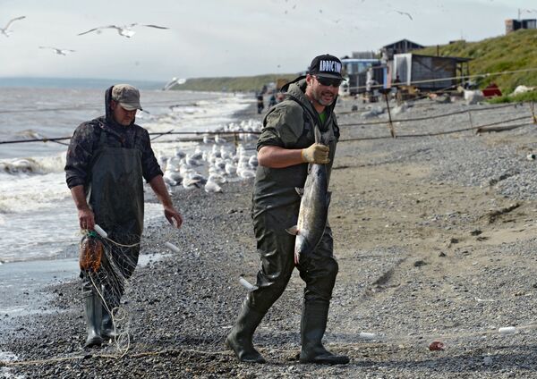 Рыбак с уловом на побережье Беренгова моря Рыбак с уловом на побережье Беренгова моря
