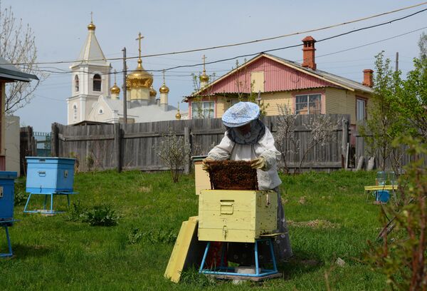 Монахиня на пасеке женского монастыря Святых Первоверховных апостолов Петра и Павла в селе Петропавловка Хабаровского края Монахиня на пасеке женского монастыря Святых Первоверховных апостолов Петра и Павла в селе Петропавловка Хабаровского края