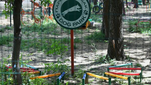 Собачая площадка в Грачевском парке Собачая площадка в Грачевском парке