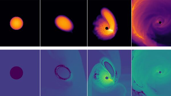 Computer model of how a black hole resurrects a white dwarf Computer model of how a black hole resurrects a white dwarf