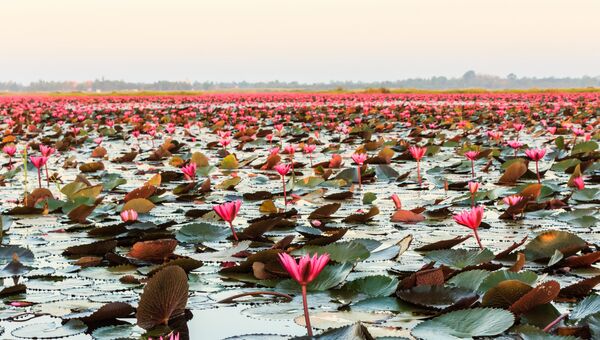 Озеро Нонг-Хан в Таиланде