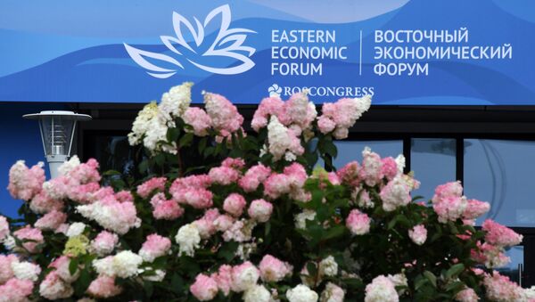 Баннер с символикой Восточного экономического форума Баннер с символикой Восточного экономического форума