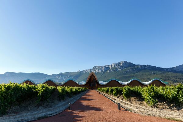 Винодельня Bodegas Ysios в Италии Винодельня Bodegas Ysios в Италии