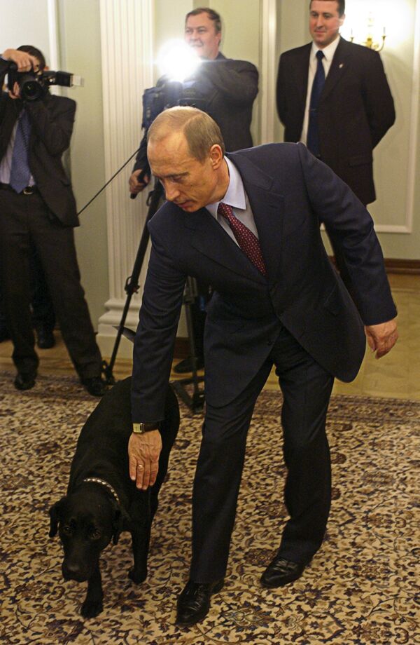 В.Путин с собакой Кони в Ново-Огарево В.Путин с собакой Кони в Ново-Огарево