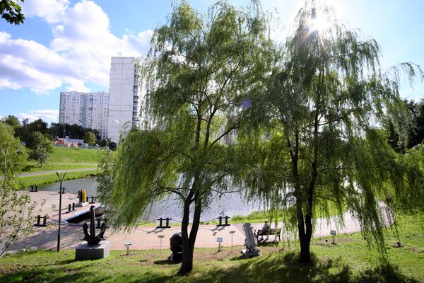 Пруды с утками в Ясеневе Пруды с утками в Ясеневе