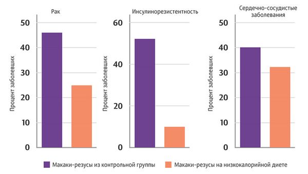 Процент заболевших животных Процент заболевших животных