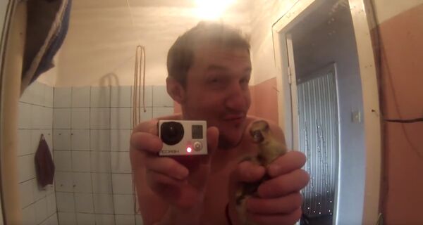 Кадр из видео с канала Гусин на YouTube Кадр из видео с канала Гусин на YouTube