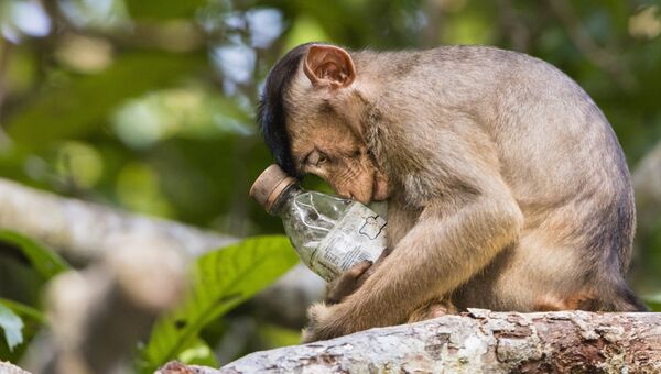 Работа участника конкурса Environmental Photographer of the Year 2018. Фотограф Calvin Ke Работа участника конкурса Environmental Photographer of the Year 2018. Фотограф Calvin Ke