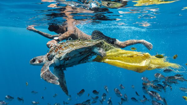 Работа участника конкурса Environmental Photographer of the Year 2018. Фотограф Jing Li Работа участника конкурса Environmental Photographer of the Year 2018. Фотограф Jing Li
