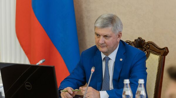 Глава Воронежской области Александр Гусев. Архивное фото Глава Воронежской области Александр Гусев. Архивное фото