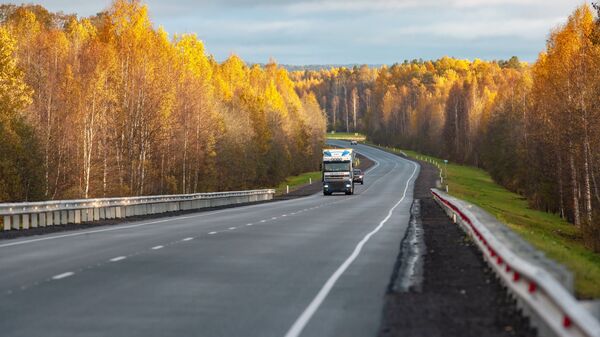 Осенний лес вдоль автодороги