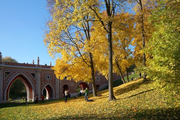 Парк Царицыно Парк Царицыно