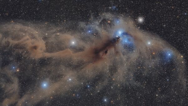 Работа фотографа Mario Cogo Corona Australis Dust Complex. Конкурс Insight Astronomy Photographer of the year 2018 Работа фотографа Mario Cogo Corona Australis Dust Complex. Конкурс Insight Astronomy Photographer of the year 2018