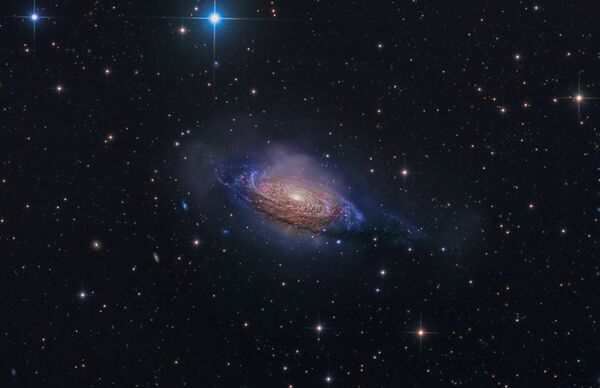 Работа фотографа Steven Mohr NGC 3521 Mysterious Galaxy. Конкурс Insight Astronomy Photographer of the year 2018 Работа фотографа Steven Mohr NGC 3521 Mysterious Galaxy. Конкурс Insight Astronomy Photographer of the year 2018