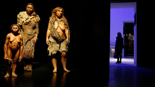 Фигуры человека флоресского, Homo sapiens и неандертальца Фигуры человека флоресского, Homo sapiens и неандертальца