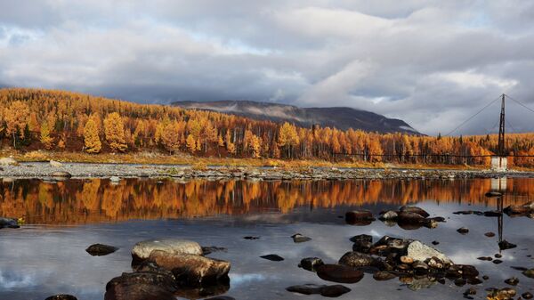 Природа Полярного Урала Природа Полярного Урала