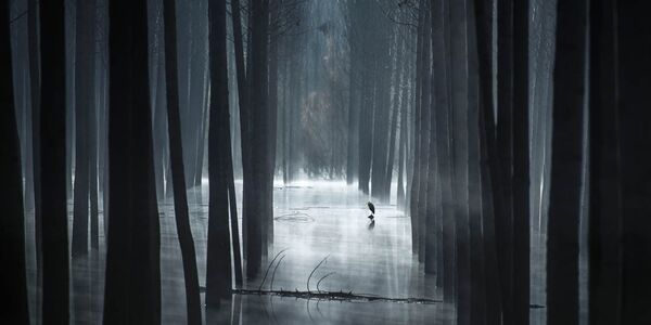 Работа участника конкурса EPSON Pano Awards 2018. Mariano Belmar Torrecilla Работа участника конкурса EPSON Pano Awards 2018. Mariano Belmar Torrecilla