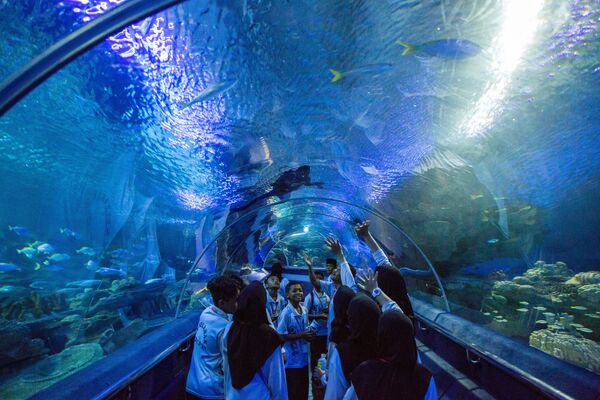 Посетители в океанариуме Куала-Лумпура (Aquaria KLCC) расположенном в самом центре города на нижнем уровне башен-близнецов Петронас Посетители в океанариуме Куала-Лумпура (Aquaria KLCC) расположенном в самом центре города на нижнем уровне башен-близнецов Петронас