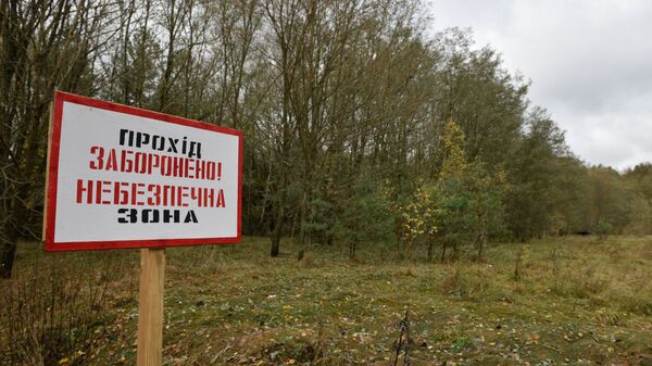 В зоне отчуждения Чернобыльской АЭС задержали четырех сталкеров