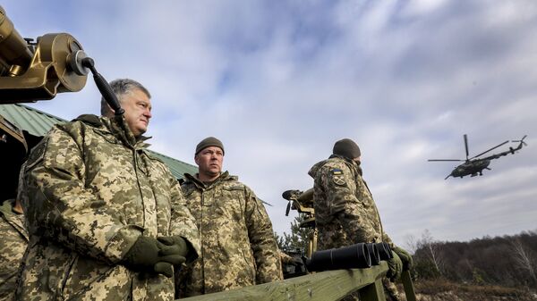 Президент Украины Петр Порошенко Президент Украины Петр Порошенко