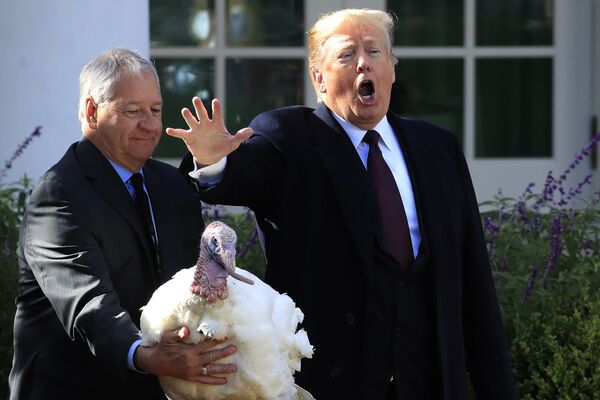 Президент США Дональд Трамп во время церемонии помилования индеек в честь Дня Благодарения в Розовом саду Белого дома Президент США Дональд Трамп во время церемонии помилования индеек в честь Дня Благодарения в Розовом саду Белого дома