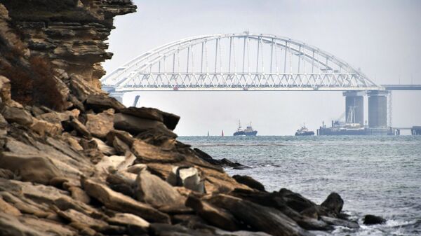 Суда проходят под аркой Крымского моста после возобновления судоходства в Керченском проливе. 26 ноября 2015 Суда проходят под аркой Крымского моста после возобновления судоходства в Керченском проливе. 26 ноября 2015