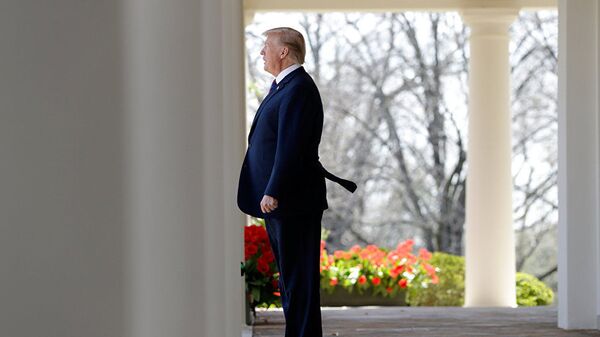 Явка провалена. Трамп думал, думал и передумал Явка провалена. Трамп думал, думал и передумал