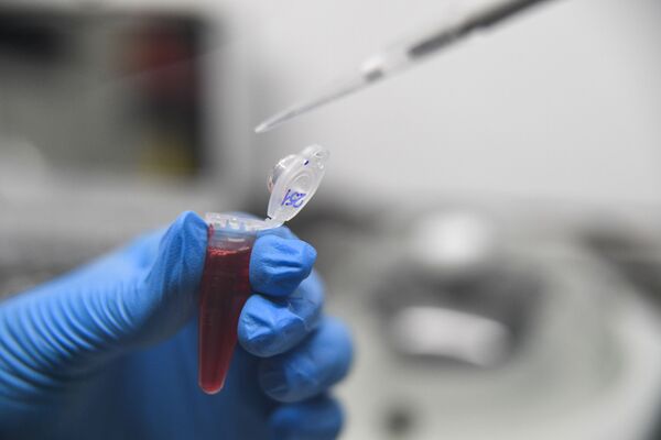 Образцы ДНК для выявления мутаций у пациентов Образцы ДНК для выявления мутаций у пациентов