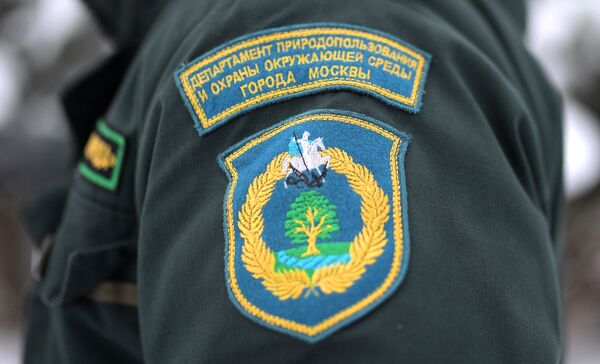 Рейд по незаконной вырубке елок в парке Кузьминки Рейд по незаконной вырубке елок в парке Кузьминки