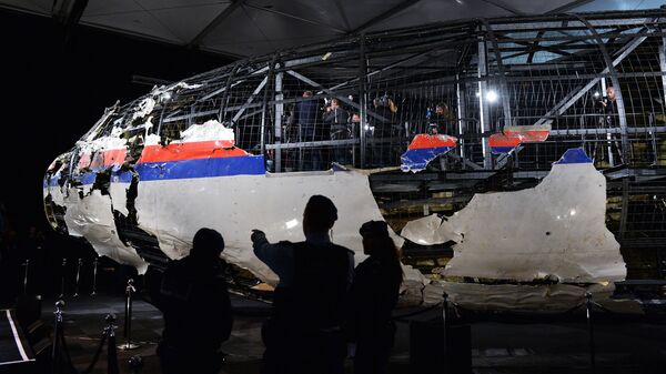 Немецкий журналист удивился, что все игнорируют вину Украины в гибели MH17