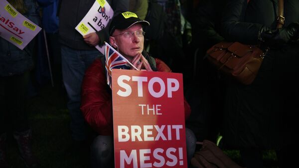 Участник акции против Brexit у здания парламента Великобритании в Лондоне. 15 января 2019 Участник акции против Brexit у здания парламента Великобритании в Лондоне. 15 января 2019