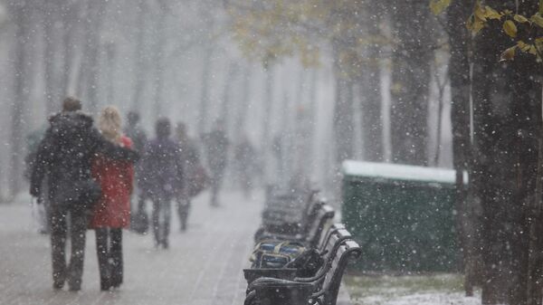 Снег в Москве Снег в Москве