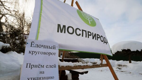 Пункт утилизации новогодних елок в Москве Пункт утилизации новогодних елок в Москве