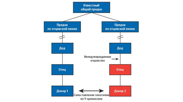 Неподтвержденное отцовство Неподтвержденное отцовство
