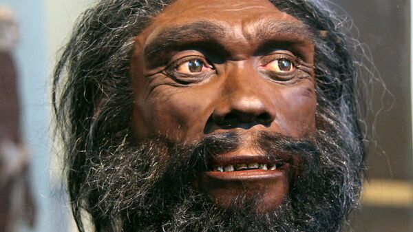 Реконструкция гейдельбергского человека (Homo heidelbergensis) Реконструкция гейдельбергского человека (Homo heidelbergensis)