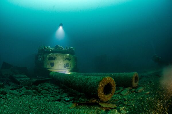 René B. Andersen. Underwater Photographer of the Year 2019 René B. Andersen. Underwater Photographer of the Year 2019