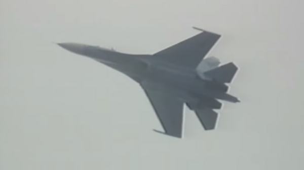 Такого не ожидали: летчик Пугачев рассказал о первой кобре на Су-27 Такого не ожидали: летчик Пугачев рассказал о первой кобре на Су-27