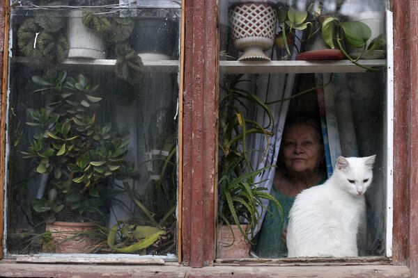 Кошка в окне в Балаклаве Кошка в окне в Балаклаве