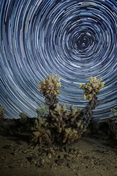 Работа финалиста конкурса Sony World Photography Awards 2019 Работа финалиста конкурса Sony World Photography Awards 2019