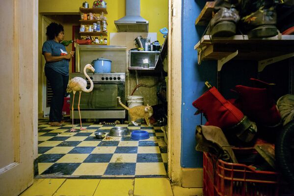 Работа фотографа Jasper Doest. Sony World Photography Awards Работа фотографа Jasper Doest. Sony World Photography Awards
