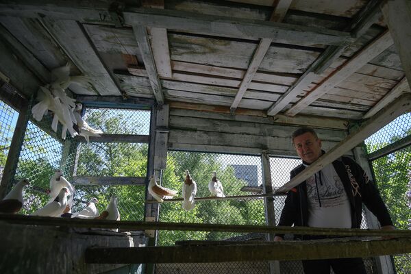 Голубятня на Халтуринской Голубятня на Халтуринской