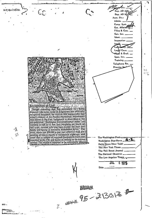 Внутренняя записка ФБР 1977 года об исследовании образцов, которые могли принадлежать снежному человеку Внутренняя записка ФБР 1977 года об исследовании образцов, которые могли принадлежать снежному человеку