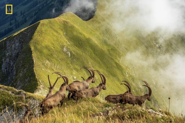 Работа фотографа JONAS SCHÄFER. Конкурс National Geographic Travel Photo - 2019 Работа фотографа JONAS SCHÄFER. Конкурс National Geographic Travel Photo - 2019
